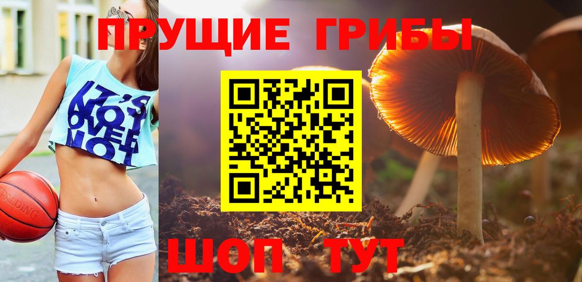 Полысаево  Галлюциногенные грибы Psilocybe  Вход с VPN  купить наркотик  Псилоцибиновые грибы мухоморы 